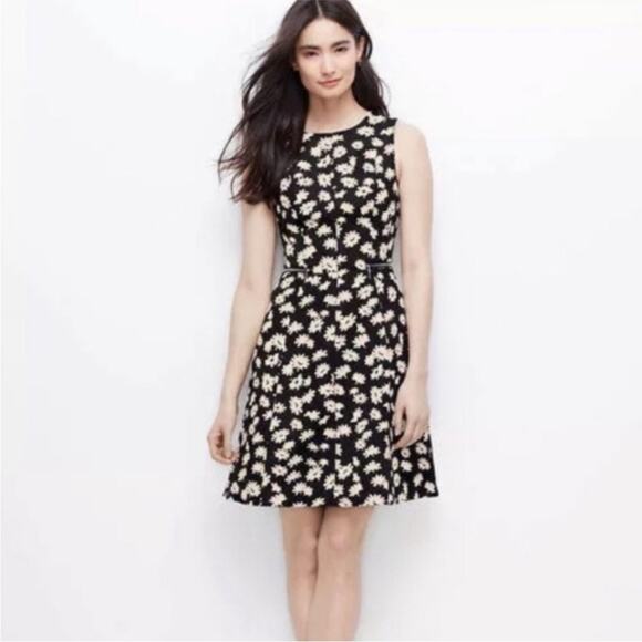 ANN TAYLOR Black & White Floral Daisy Fit and Flare Dress Size 8 Petite Spring - Picture 1 of 6